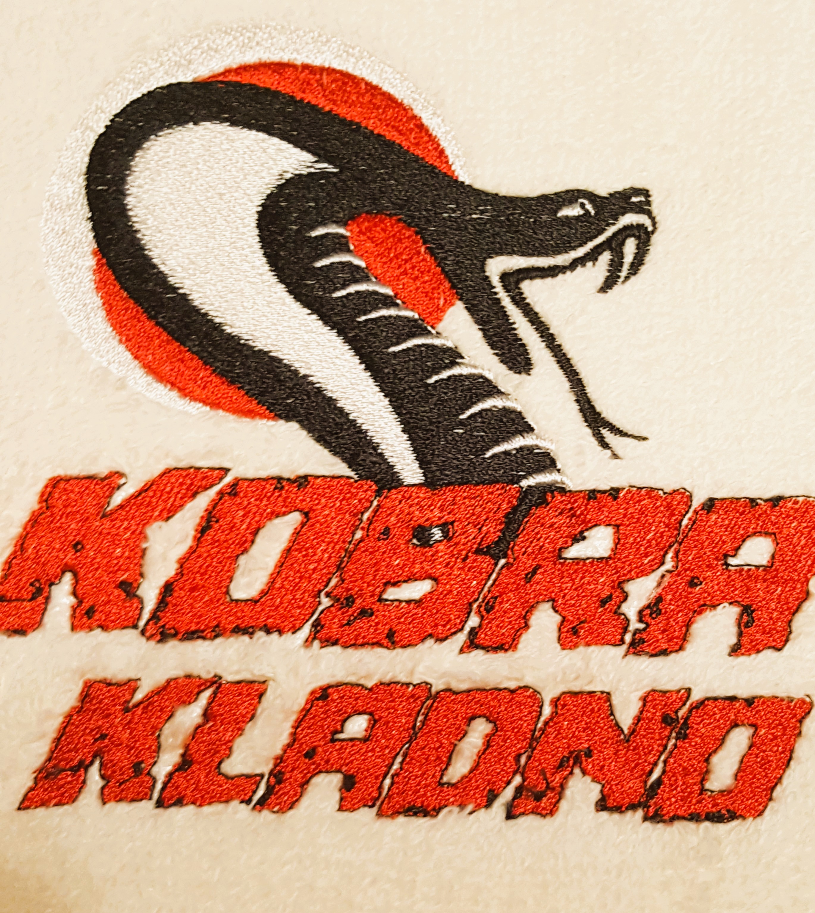 KOBRA - konec školního roku 2025_2026